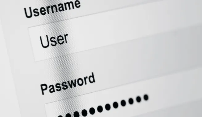 Customizable enterprise cloud hosting