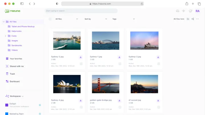 Razuna - cloud digital asset management solution for secure and scalable file management