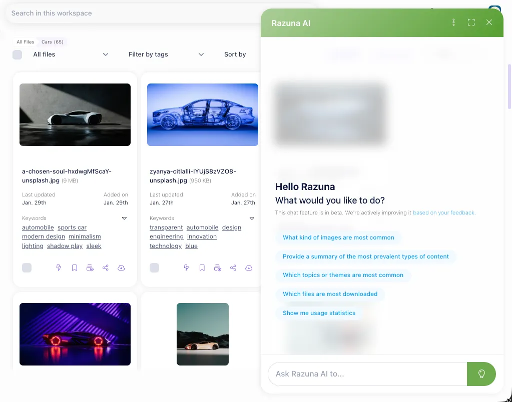 Razuna - AI conversational search for all your files