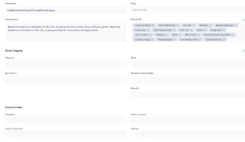 Razuna custom fields alongside asset keywords and descriptions