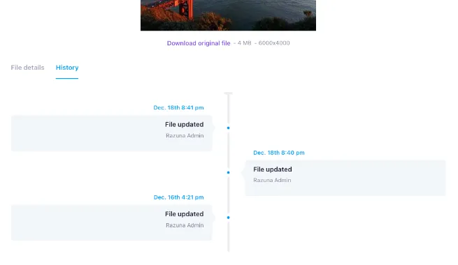 Razuna - audit trail for your digital asset management system