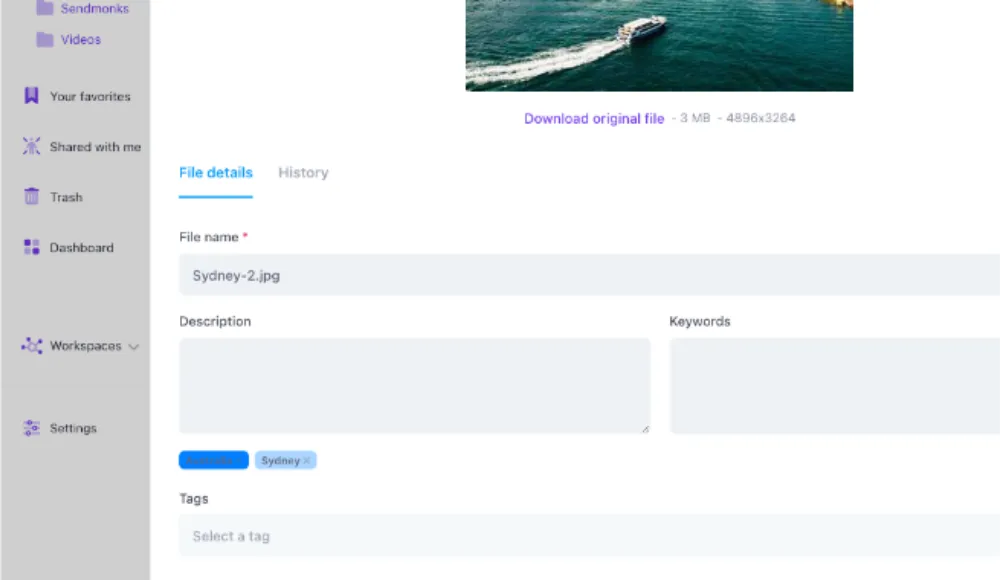 Razuna file details with a description and tags for an image