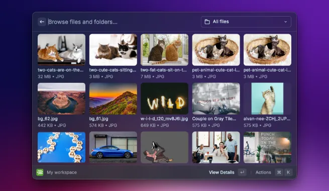 Razuna - browse your digital library in Raycast