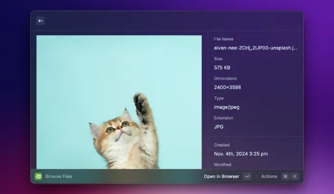 Razuna - detailed view of your digital assets in Raycast