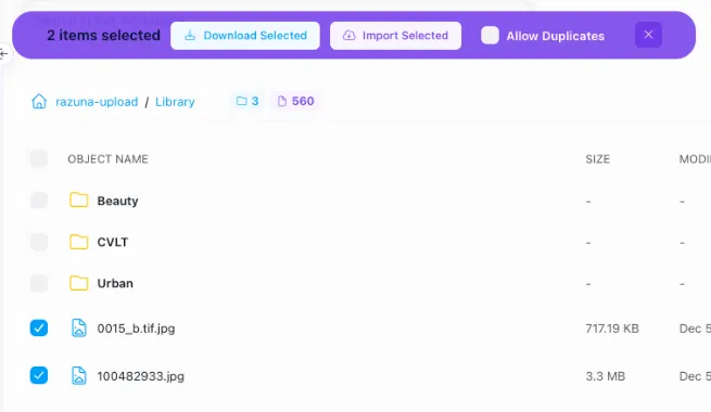 Razuna - import files from S3 and Dropbox with the built-in browser for your digital asset management system