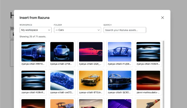 Razuna WordPress DAM plugin for browsing a governed digital asset library