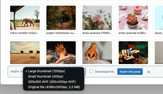 Razuna WordPress digital asset management plugin search workflow