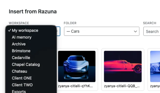 Razuna WordPress media library DAM governance workflow