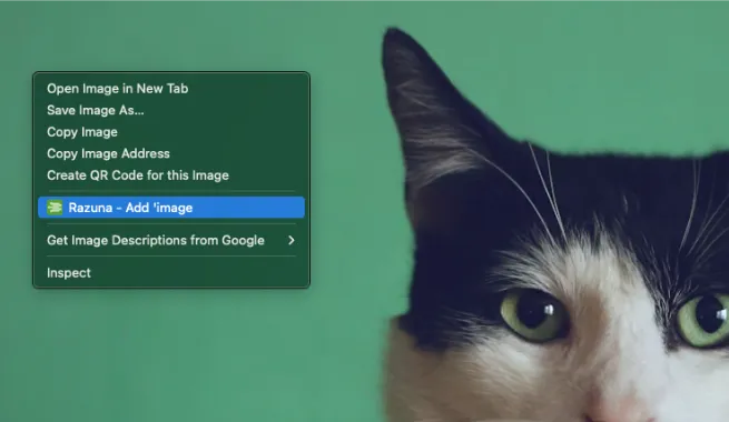 Razuna - collect files from the web with the razuna browser extension