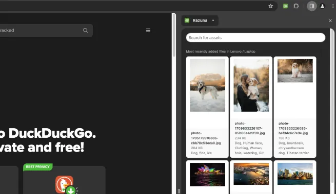 Razuna - co-browsing with the browser side panel