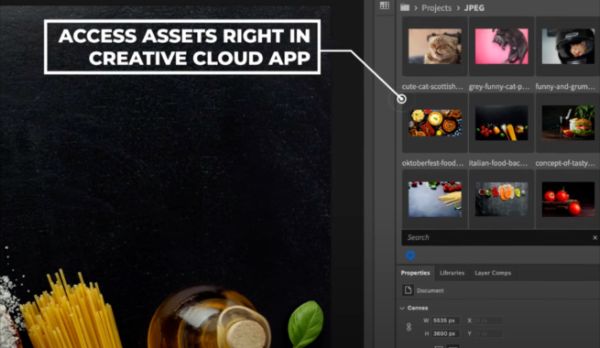 Razuna - Figma integration for your digital assets