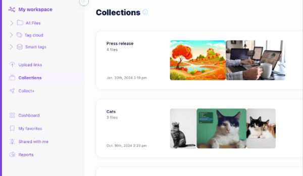 Razuna - secure brand asset management