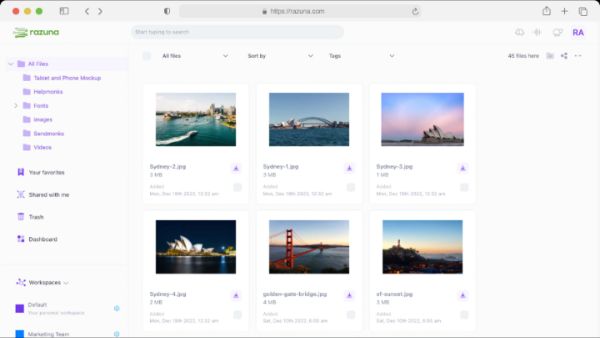Razuna - audit trail of your digital assets